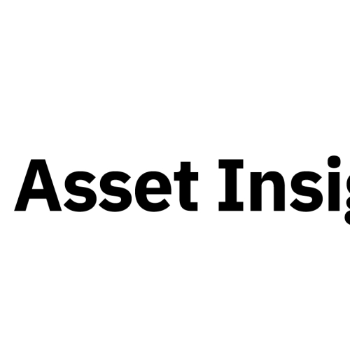 Asset Insight