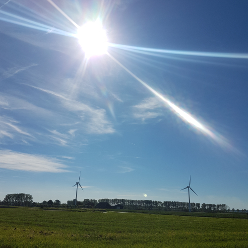 20180926_123246.jpg