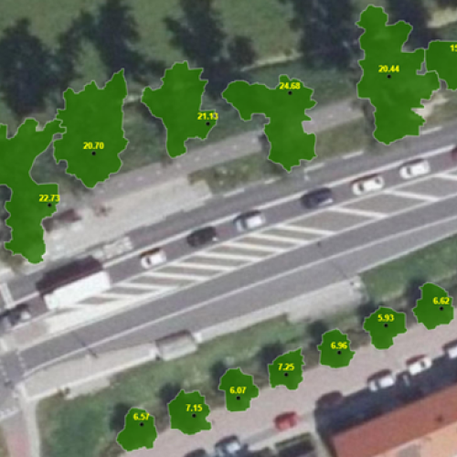 bomen.png