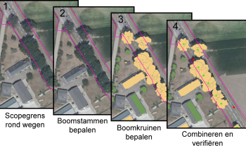 bomenalgoritme.png