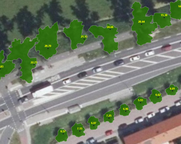 bomen.png