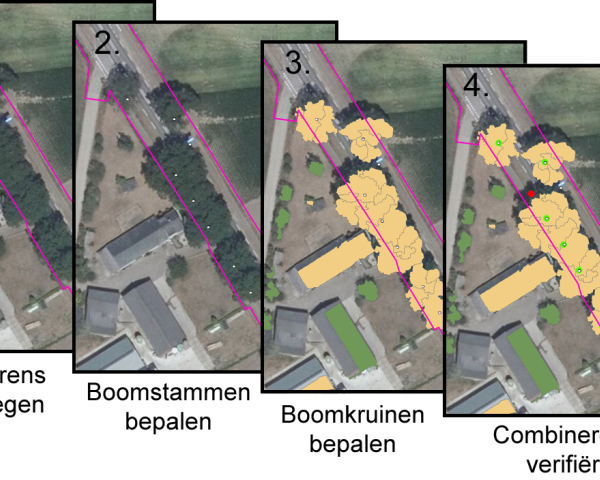 bomenalgoritme.png