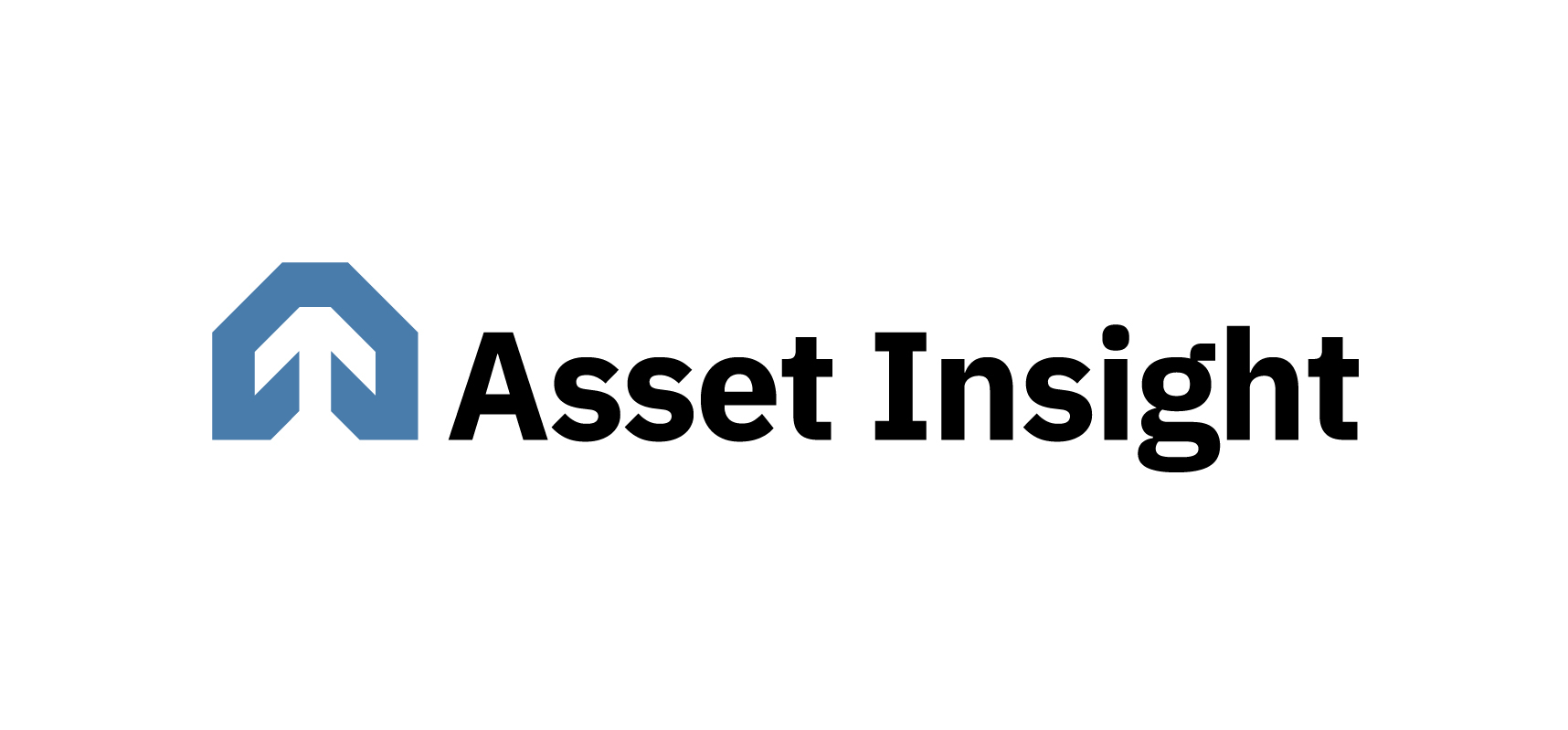 Asset Insight